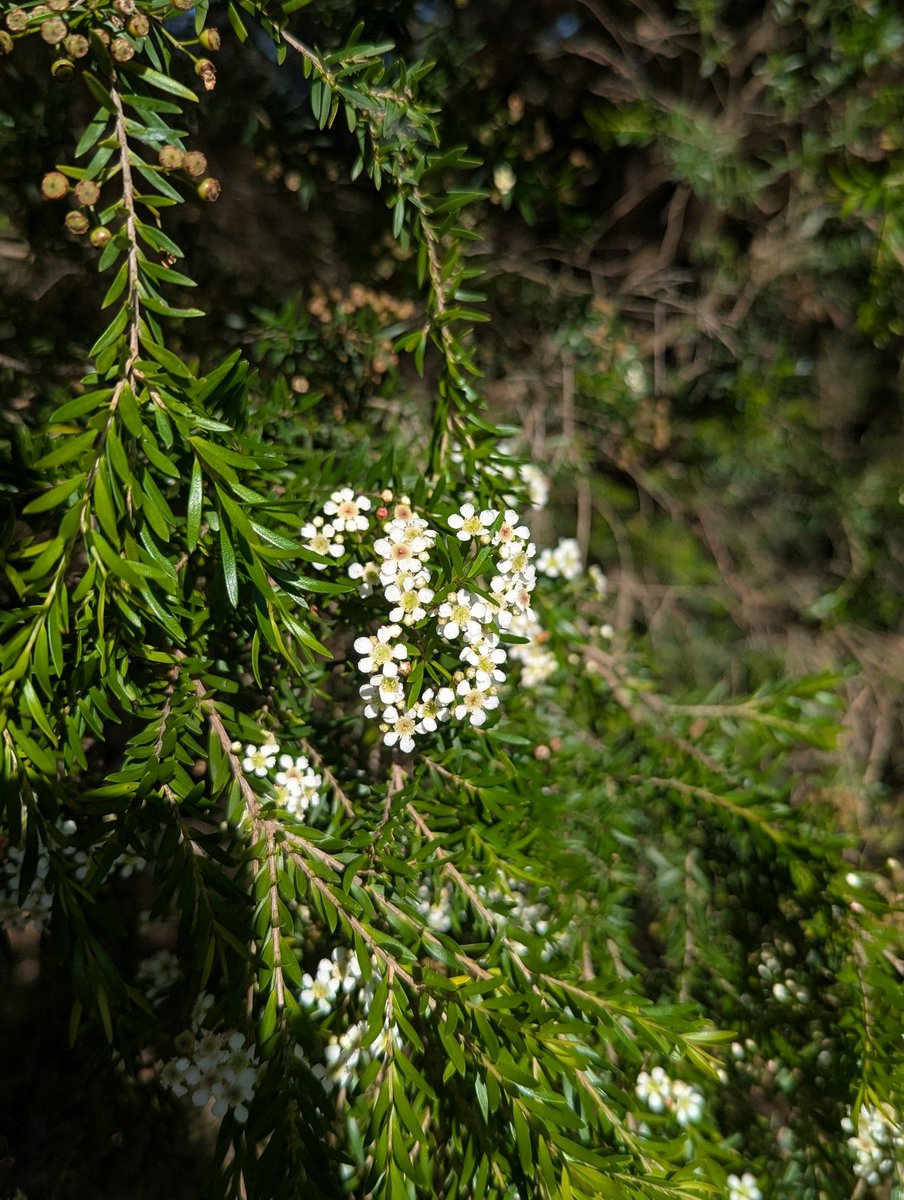 ᛉ Raven Wright ᛉ tweet media