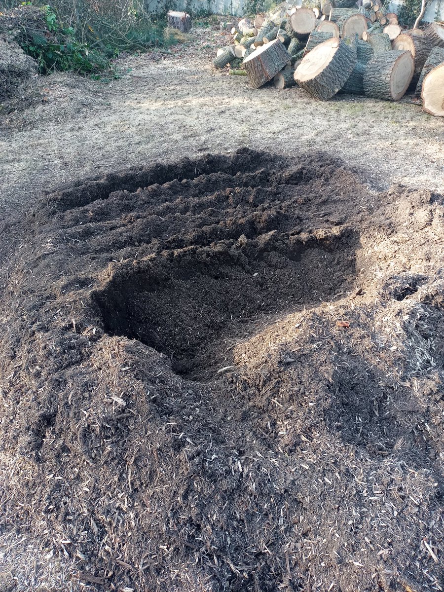 Die kleine Gemeine tweet media