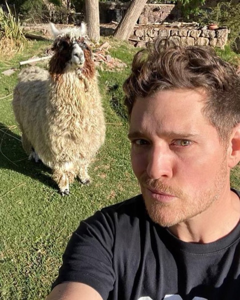 Michael Bublé tweet media