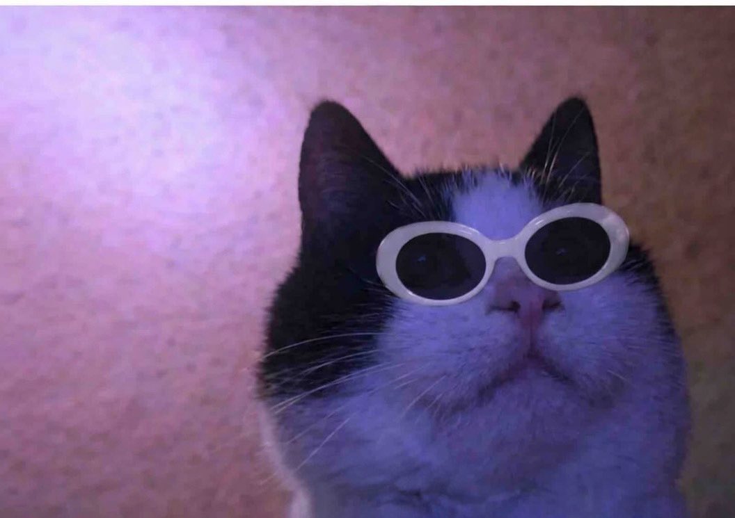 🅰🆄🅳🆄 🆂🅿🅾🆁🆃🆂 tweet media