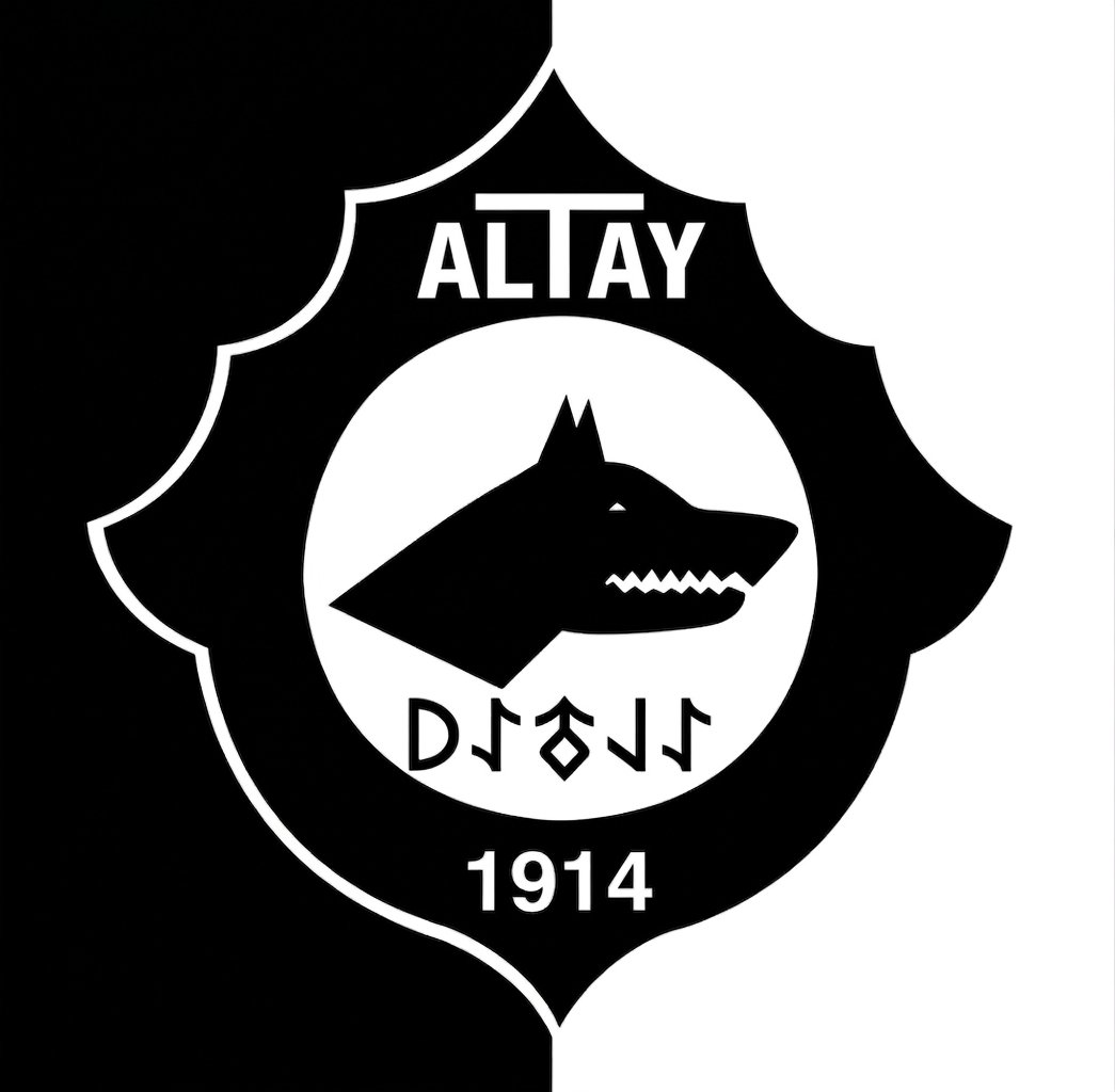 𝗔𝗟𝗧𝗔𝗬𝗟𝗜 𐱅𐰇𐰼𐰰 🇹🇷🇦🇿 tweet media