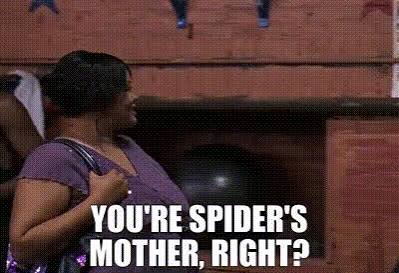 Peter Paul Gualtieri (@davidlmeeks) on Twitter photo 