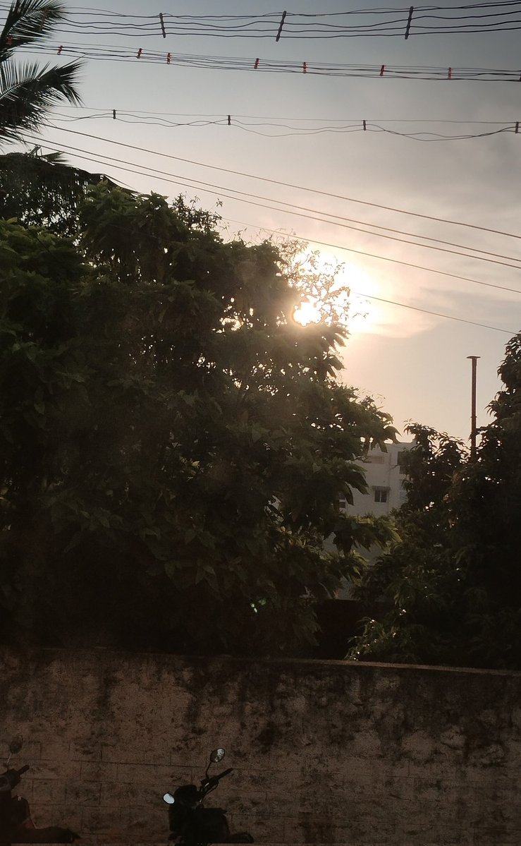 Thanasekar K tweet media