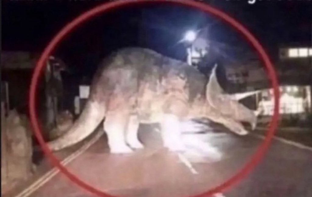 Sailor Luna❤️🩷 Leo’s Biggest Glazer tweet media