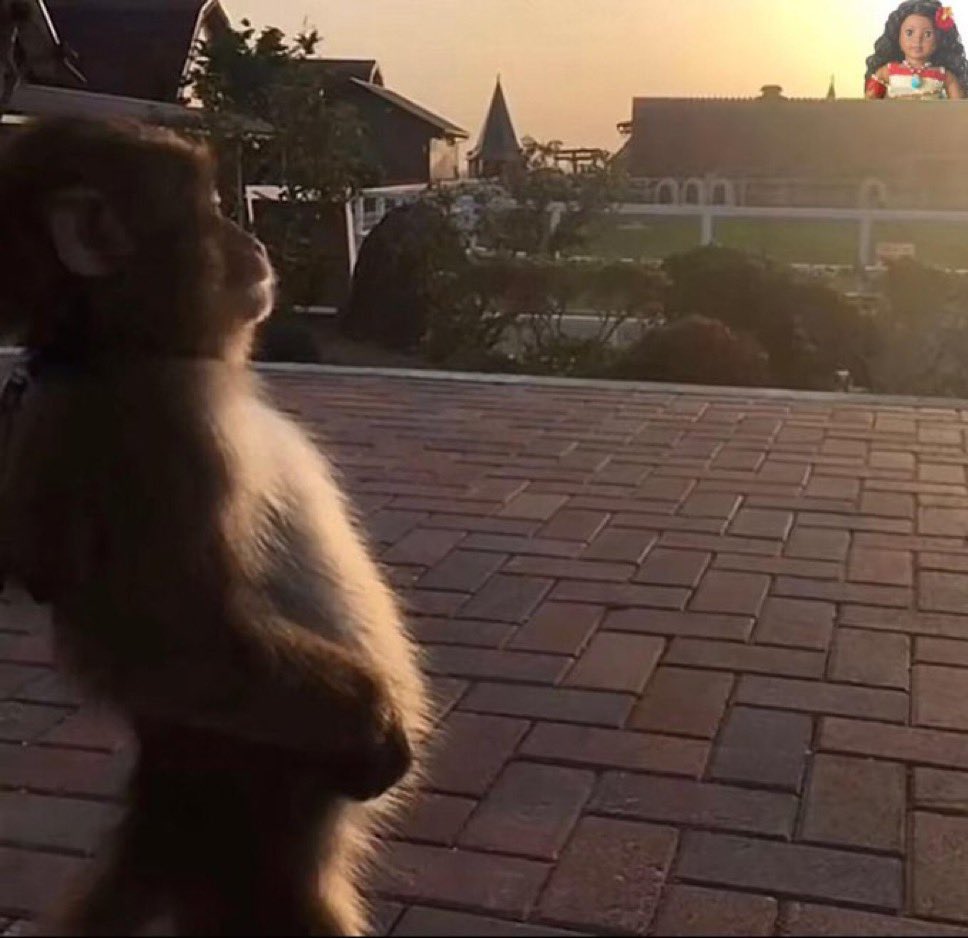 Waffles 🧇 (fever dream arc) tweet media