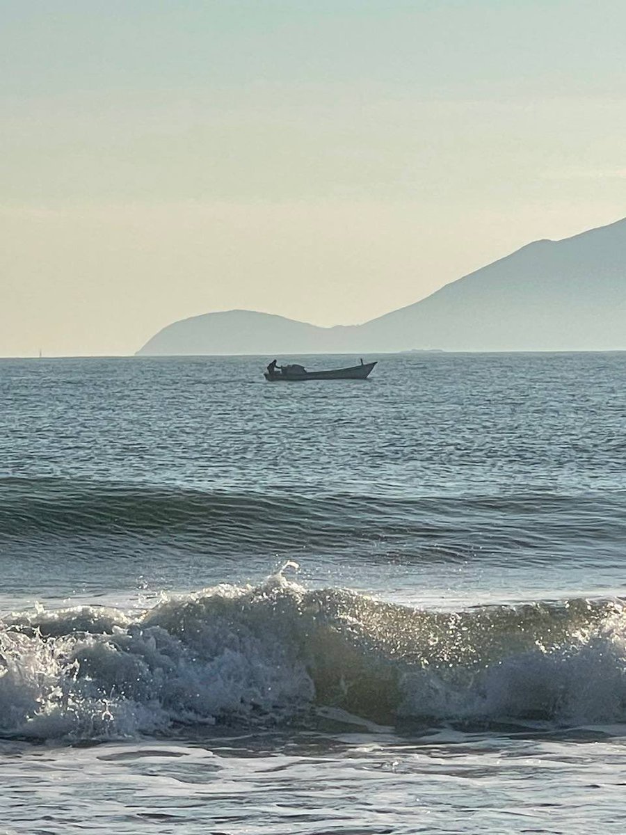 Lý Thảo | Sanna tweet media