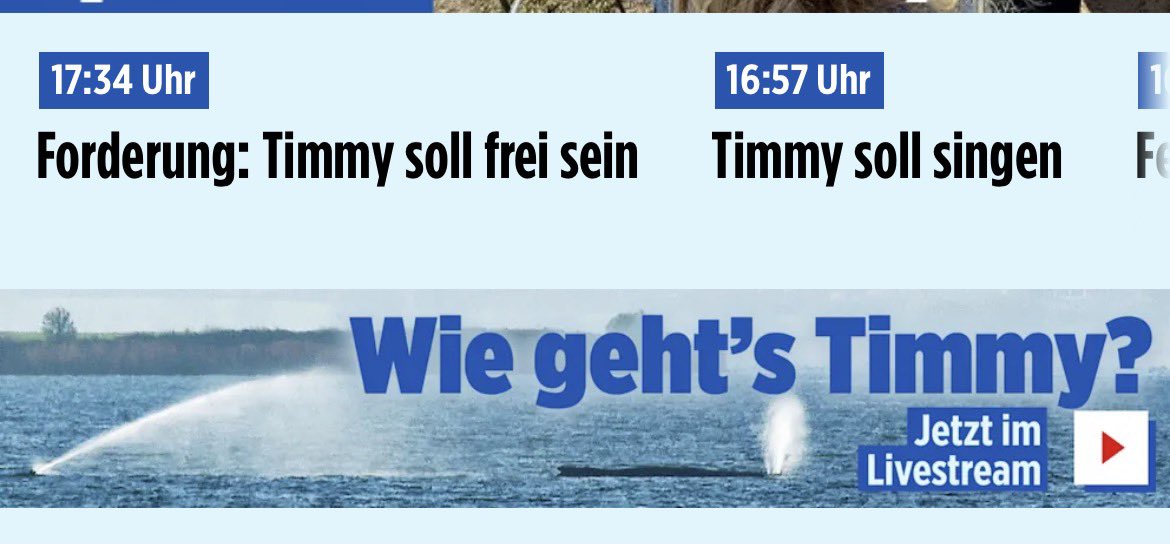 Olympique Marcel tweet media