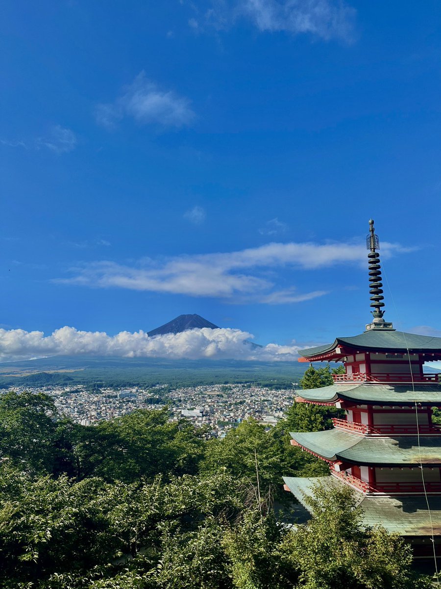 ☀️🐉🌍 tweet media