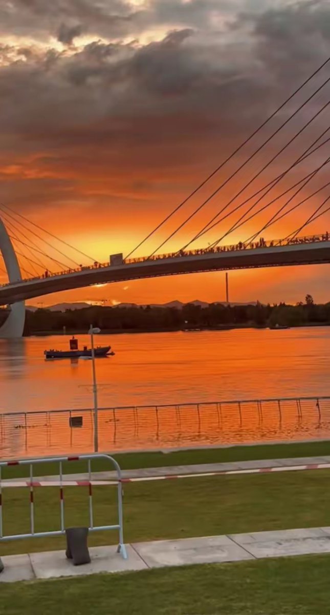 ابو ماهر tweet media