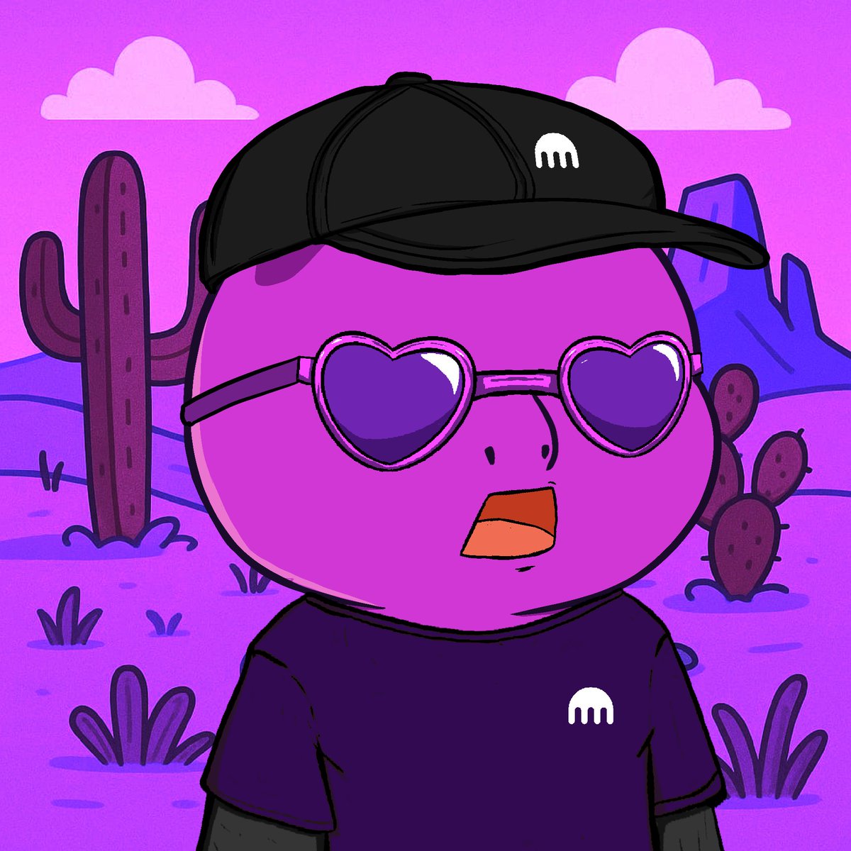 Shellies tweet media