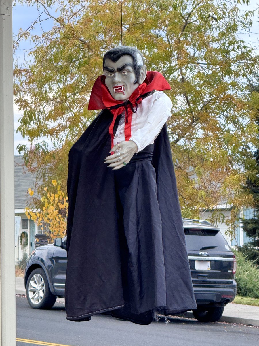 julie ryan tweet media