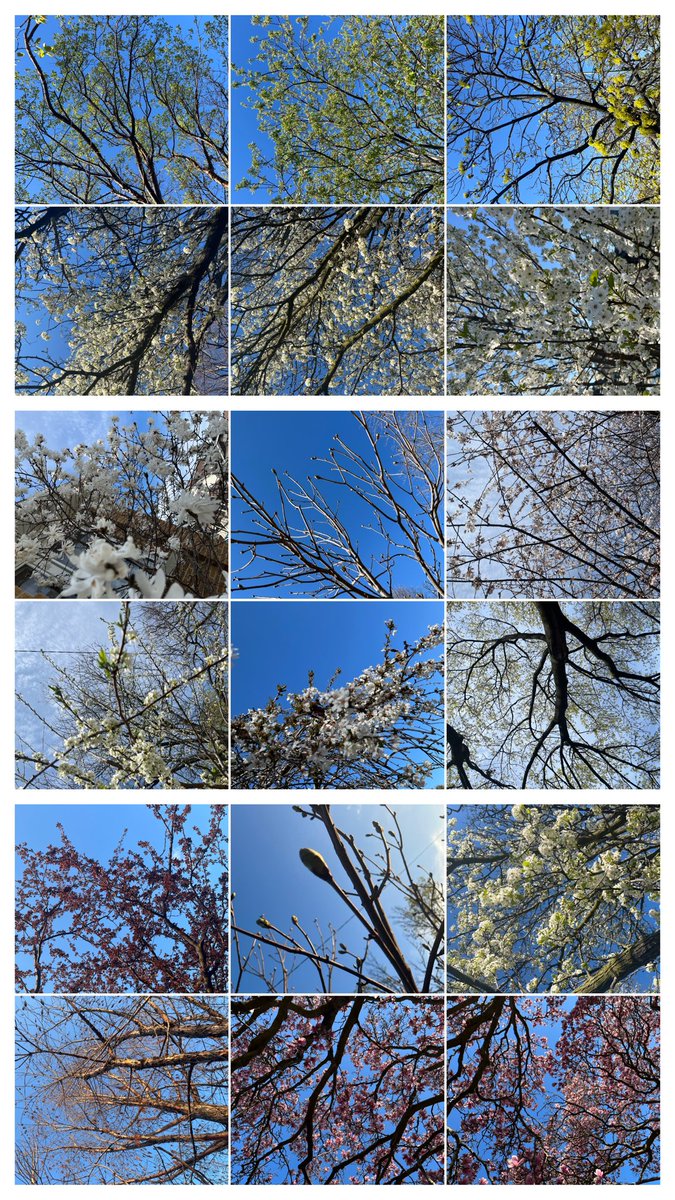 Matt Carmichael tweet media