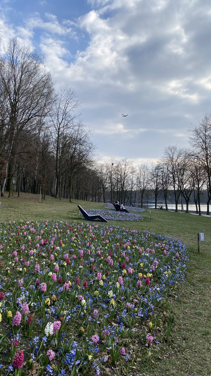 mysuga_archive tweet media