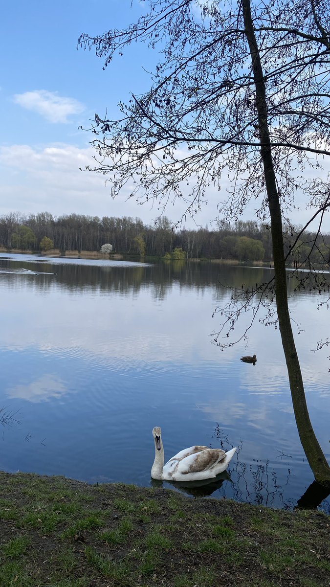 mysuga_archive tweet media