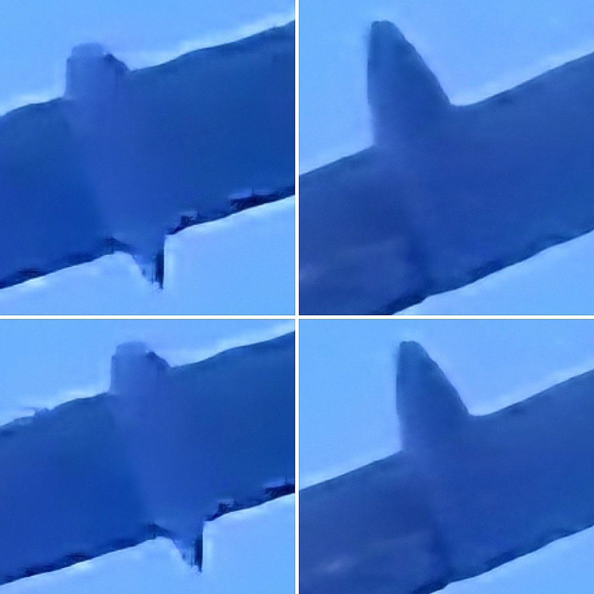 LebanonJets tweet media