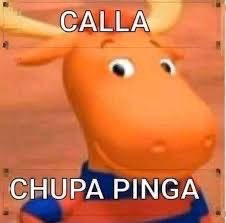 Andrés tweet media