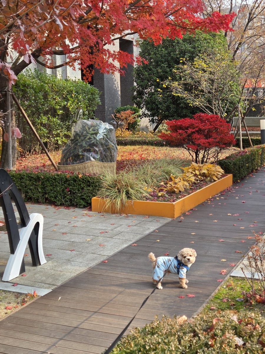 지구인들이여
내 강아지를 봐