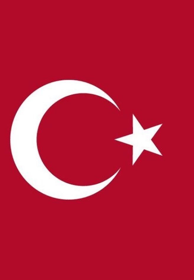 ibrahim Haskoloğlu tweet media