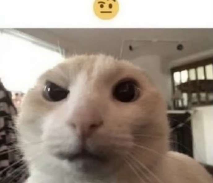 hab 🏴🇾🇪 tweet media