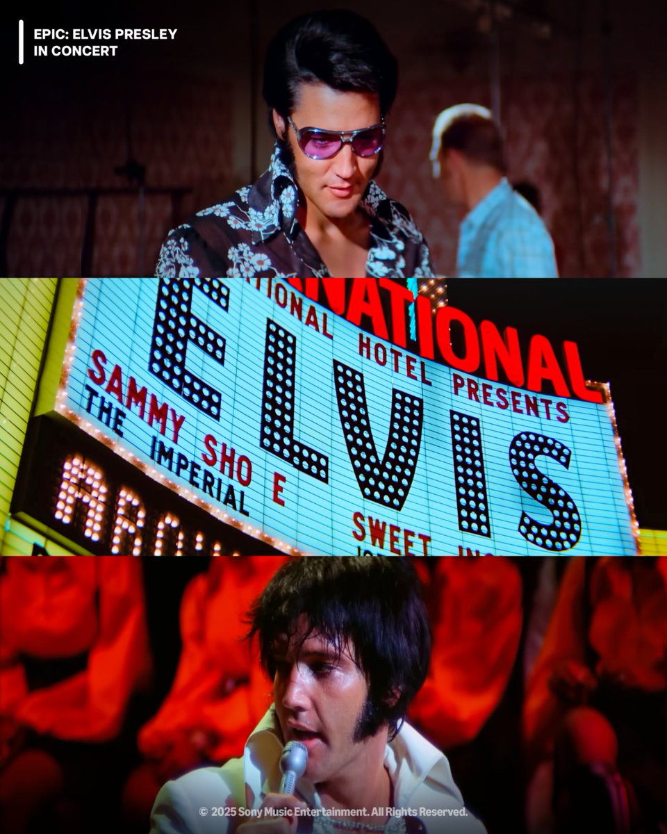 prime video IN tweet media