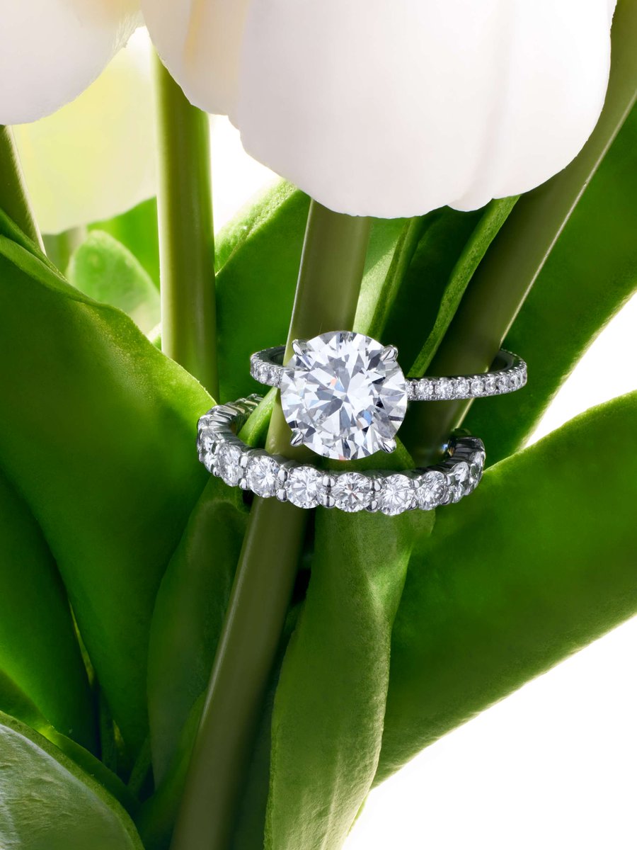 RdeVersailles's tweet image. Love, in full bloom.

#RoyaldeVersailles #RdV #EngagementRings #WeddingBands #EternityRing #DiamondRing #FineJewellery #Yorkville