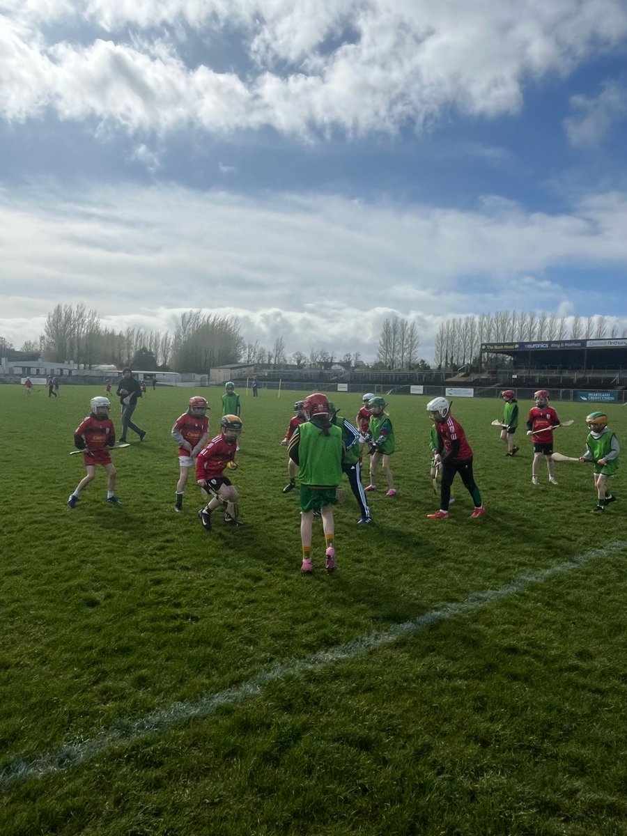 Leitrim GAA tweet media