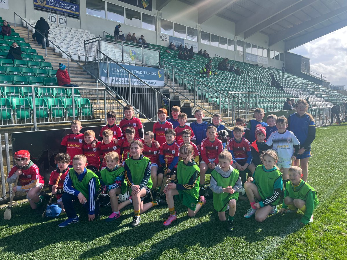 Leitrim GAA tweet media