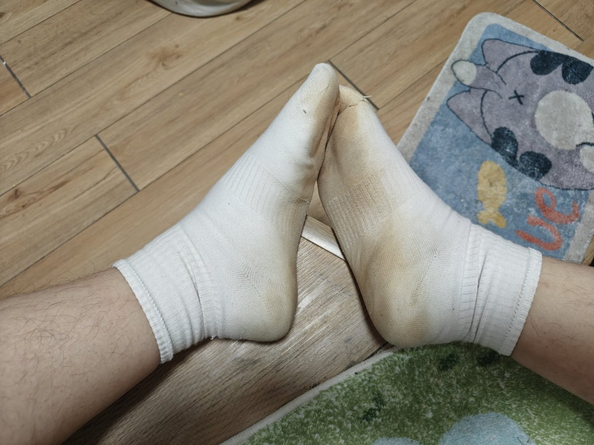 秋米⭐→绒爪兽聚 tweet media