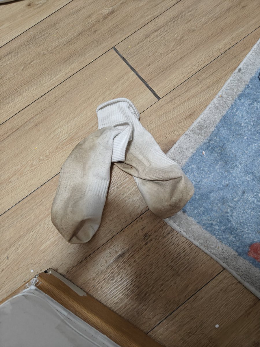 秋米⭐→绒爪兽聚 tweet media