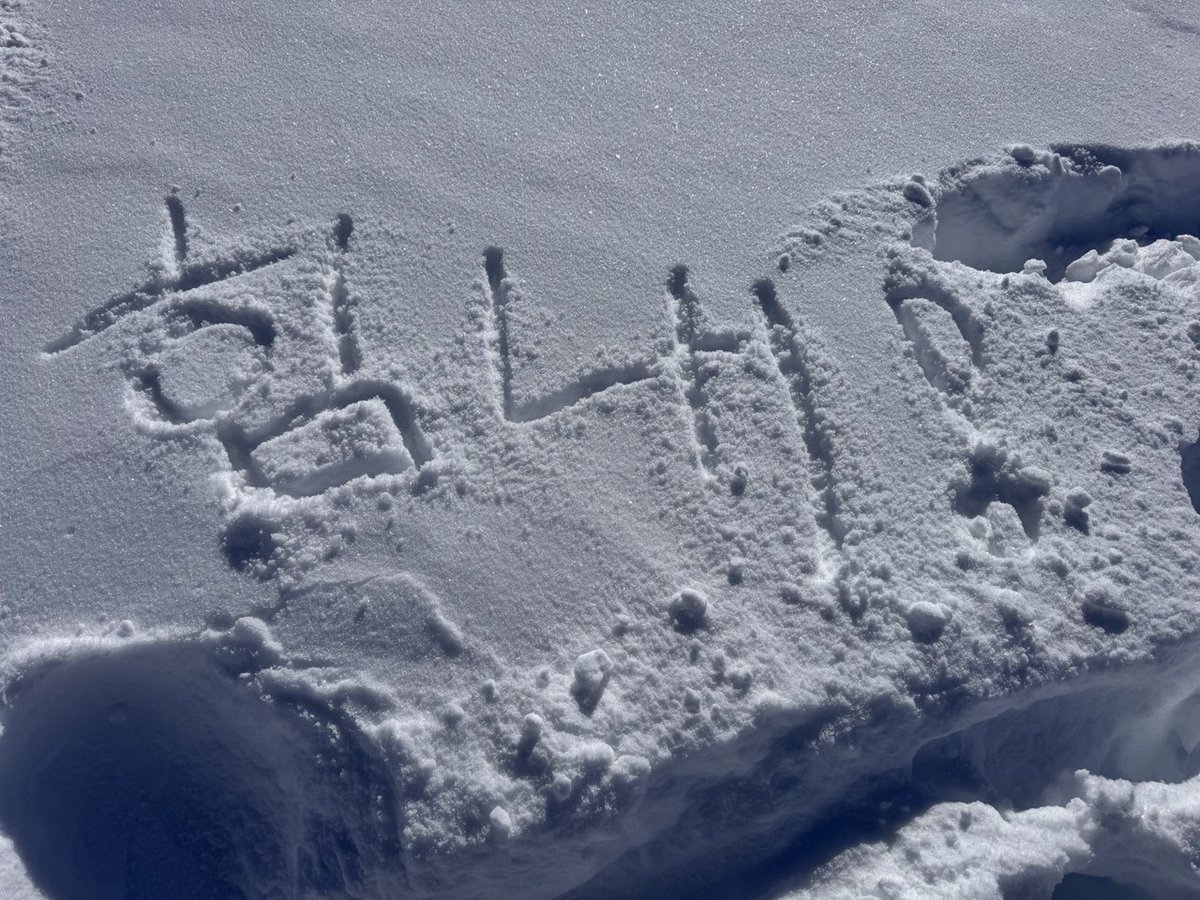 JISUNG ์ง์ฑ GLOBAL tweet media