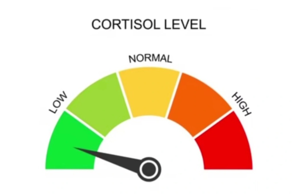 hot crispy chick🌶 tweet media