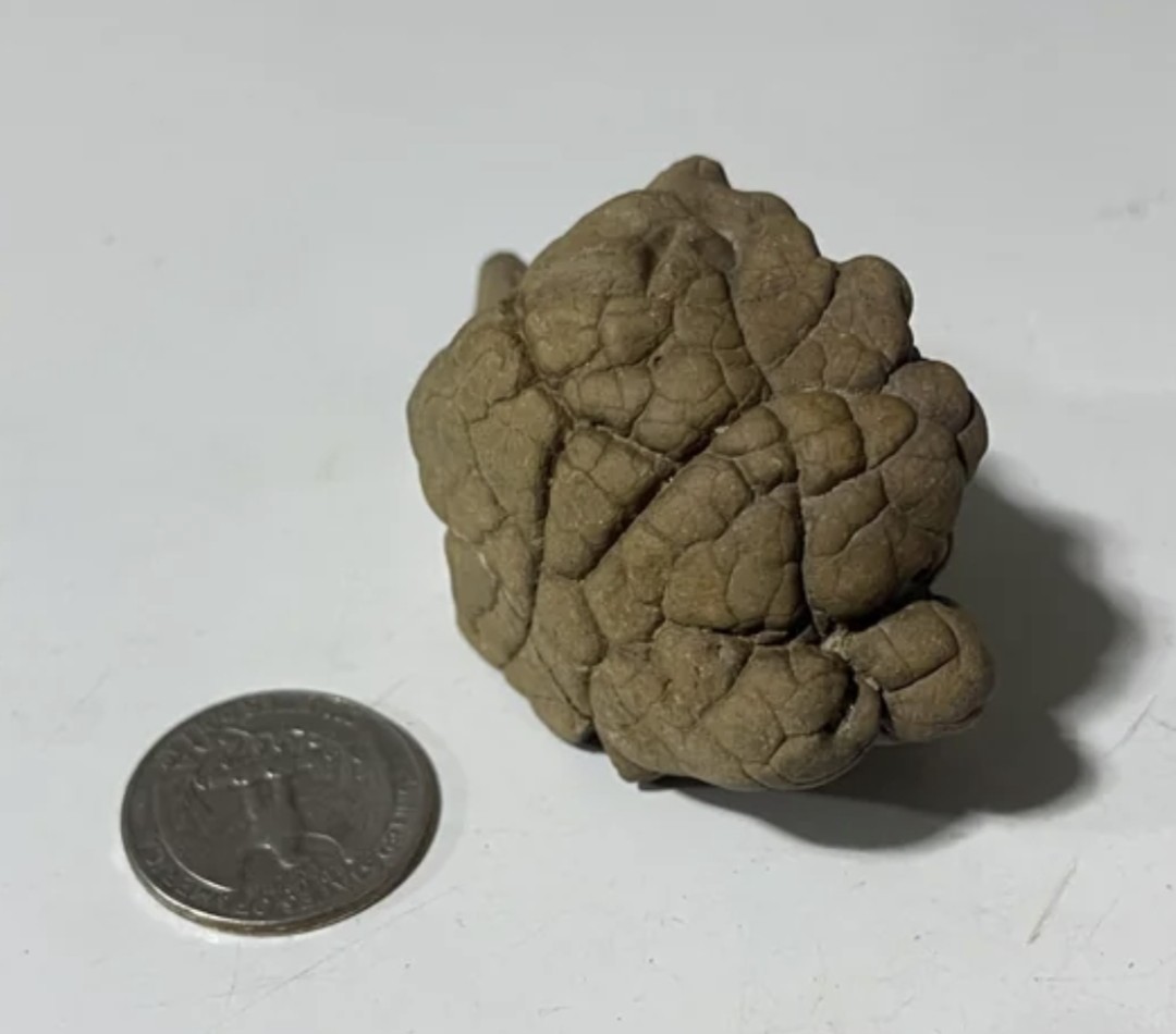 Daniel7:25(Script.)🙏 tweet media