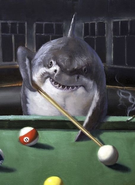 𝐌𝐚𝐫𝐤 𝐆𝐫𝐚𝐲𝐬𝐨𝐧 tweet media