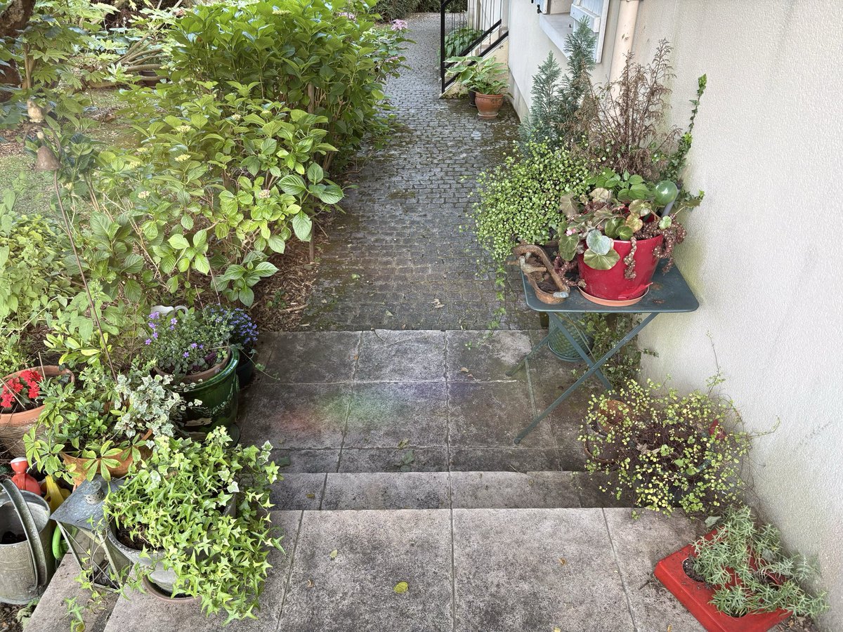 Victoria tweet media