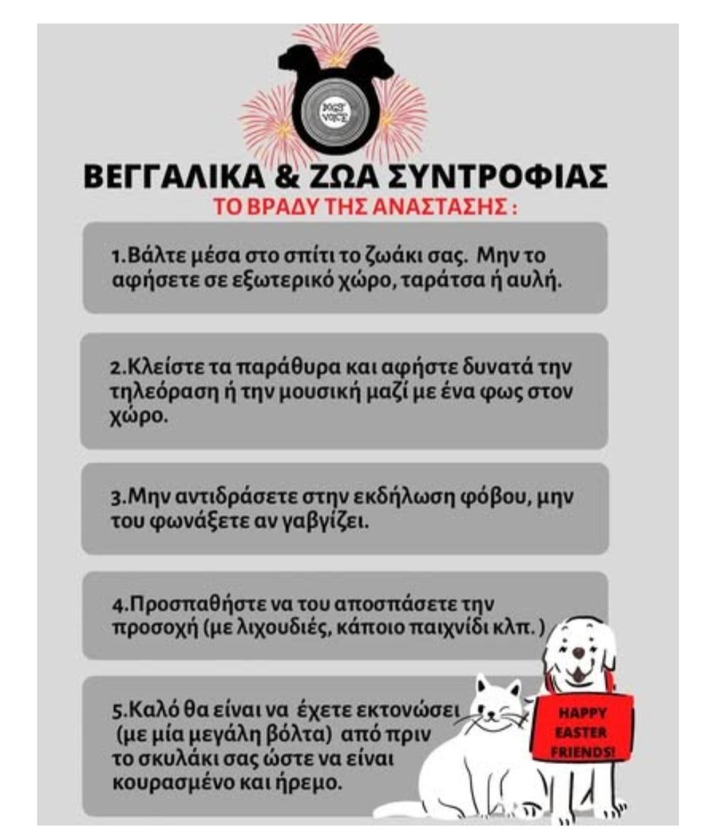 ‼️‼️‼️‼️‼️
Όλα τα ζωάκια σας μέσα 
Ακόμα κ τα πουλάκια που ίσως έχετε σε μπαλκόνι καναρίνια,παπαγαλάκια
Είναι κάτι εξαιρετικά τρομαχτικό γι αυτά οι κροτίδες κ τα βεγγαλικά 
Δν είναι αστείο 
Προστατέψτε τα 🙏🙏🙏