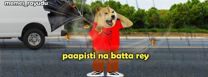 Random tweet media