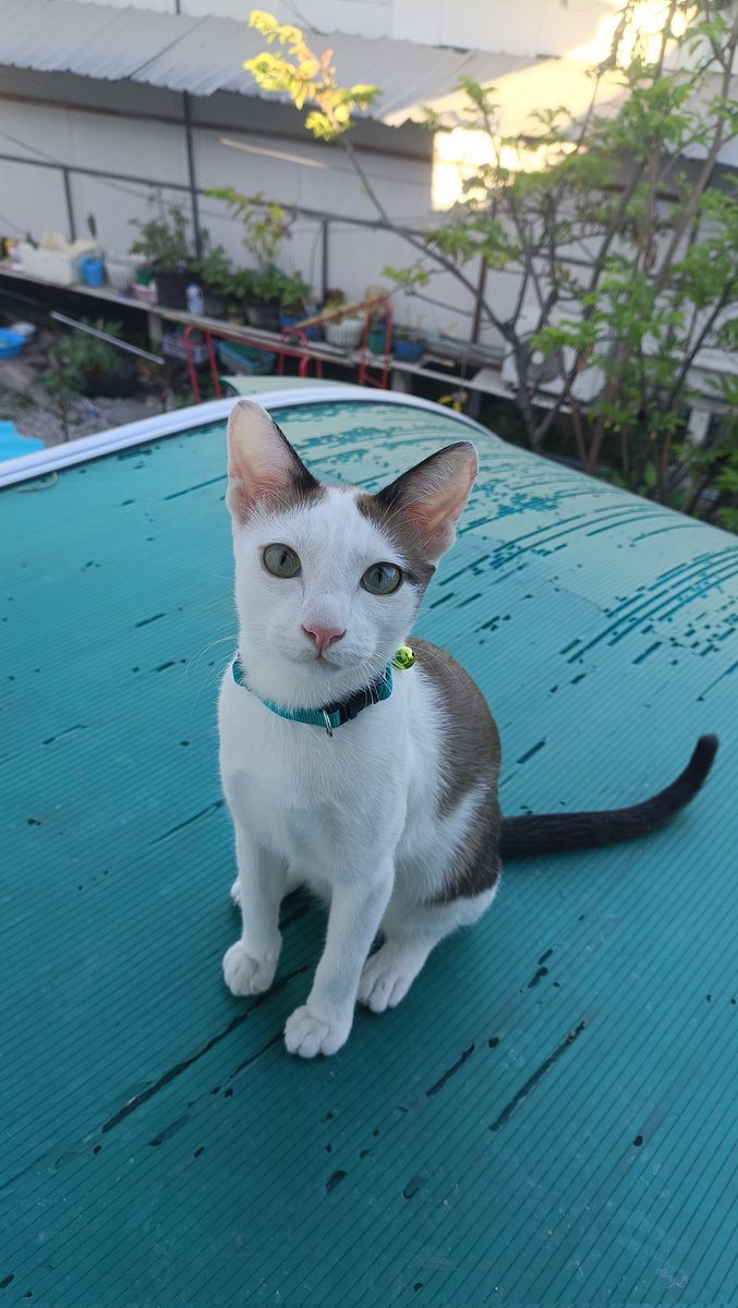 thichaaaaaaaaaaaa tweet media