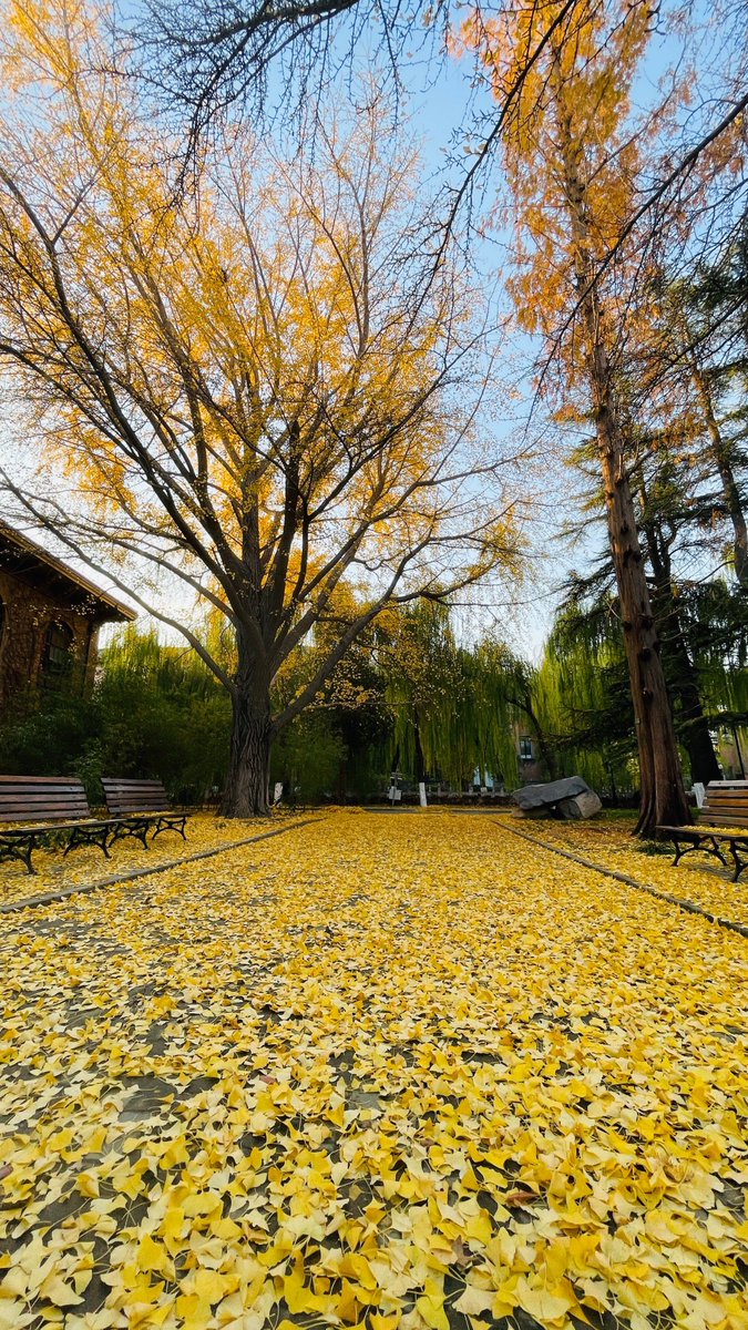 @phpDevFree tweet media