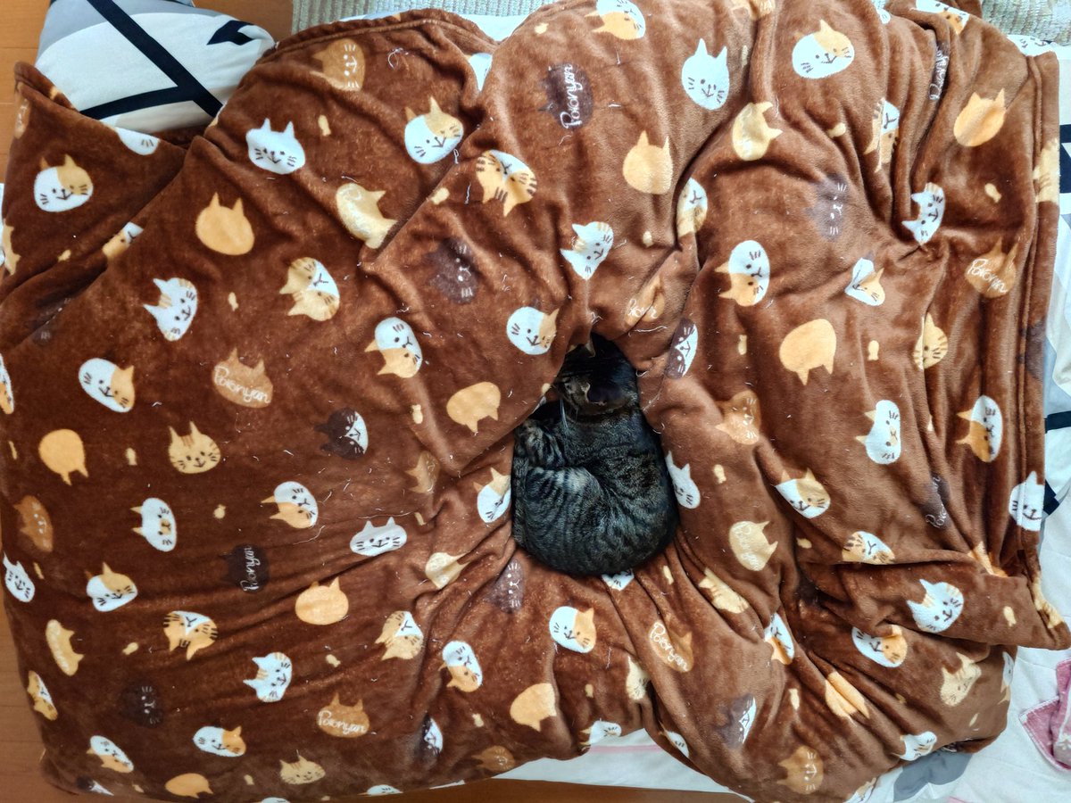 ちゃんまり@LIVE予定無し tweet media