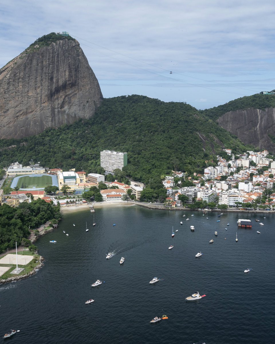 NorthStar SailGP Team tweet media