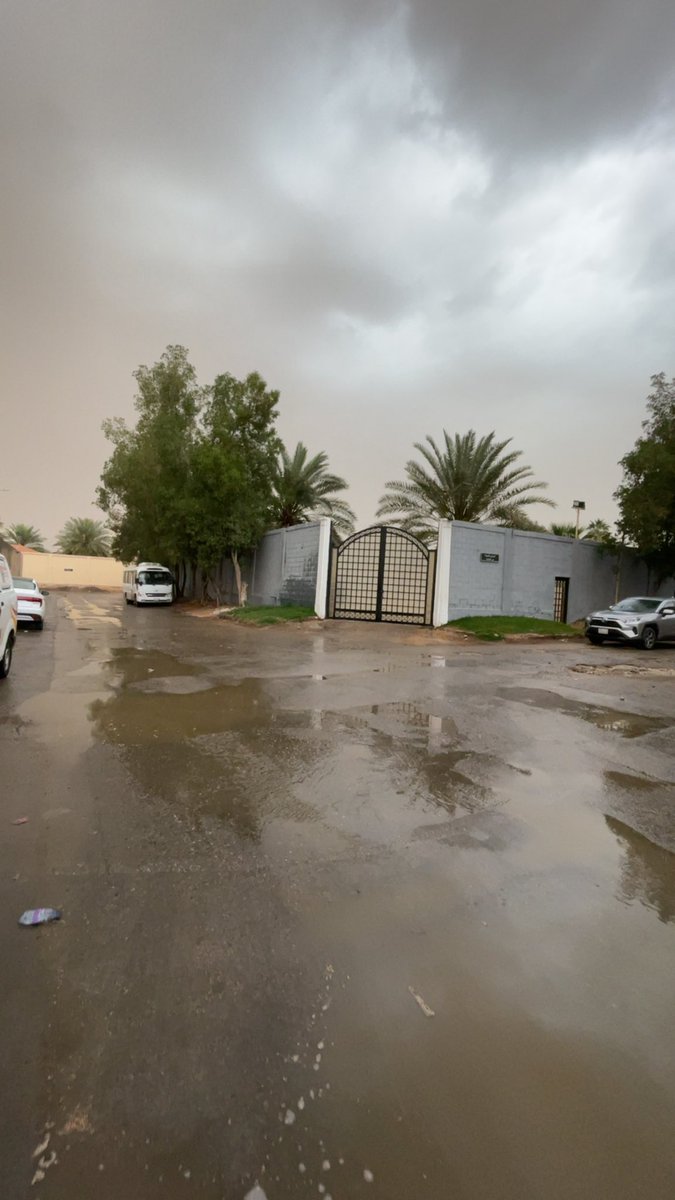 مها العصيمي tweet media