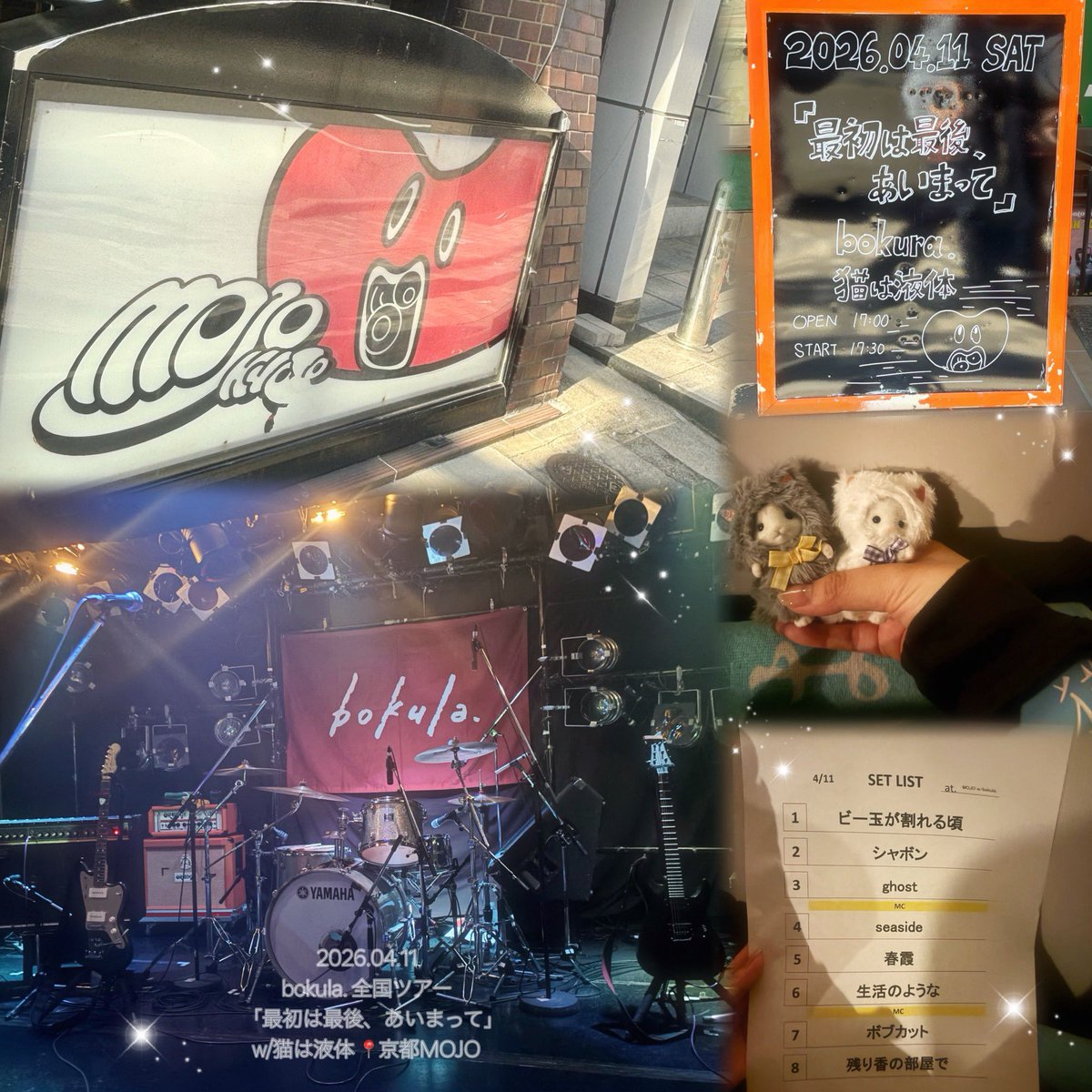 せりな tweet media