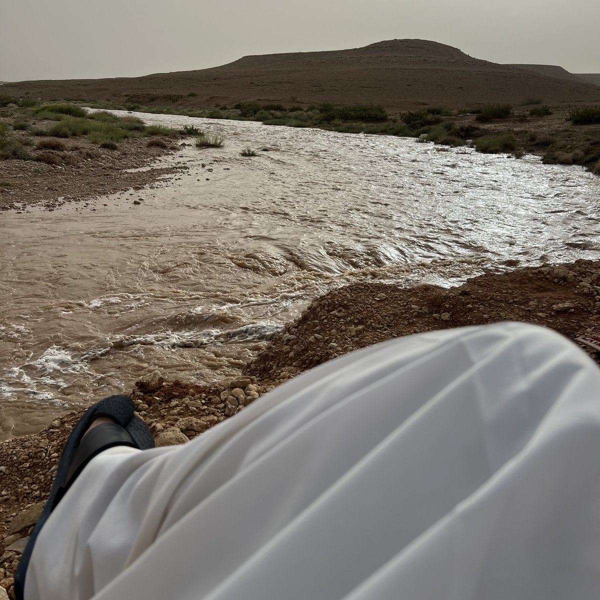 وش أنتي يا أنهار أوروبا؟