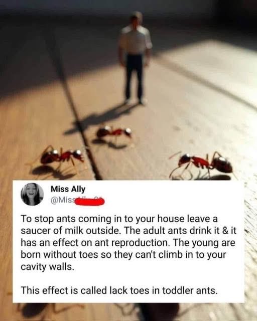 Beth Spieker tweet media