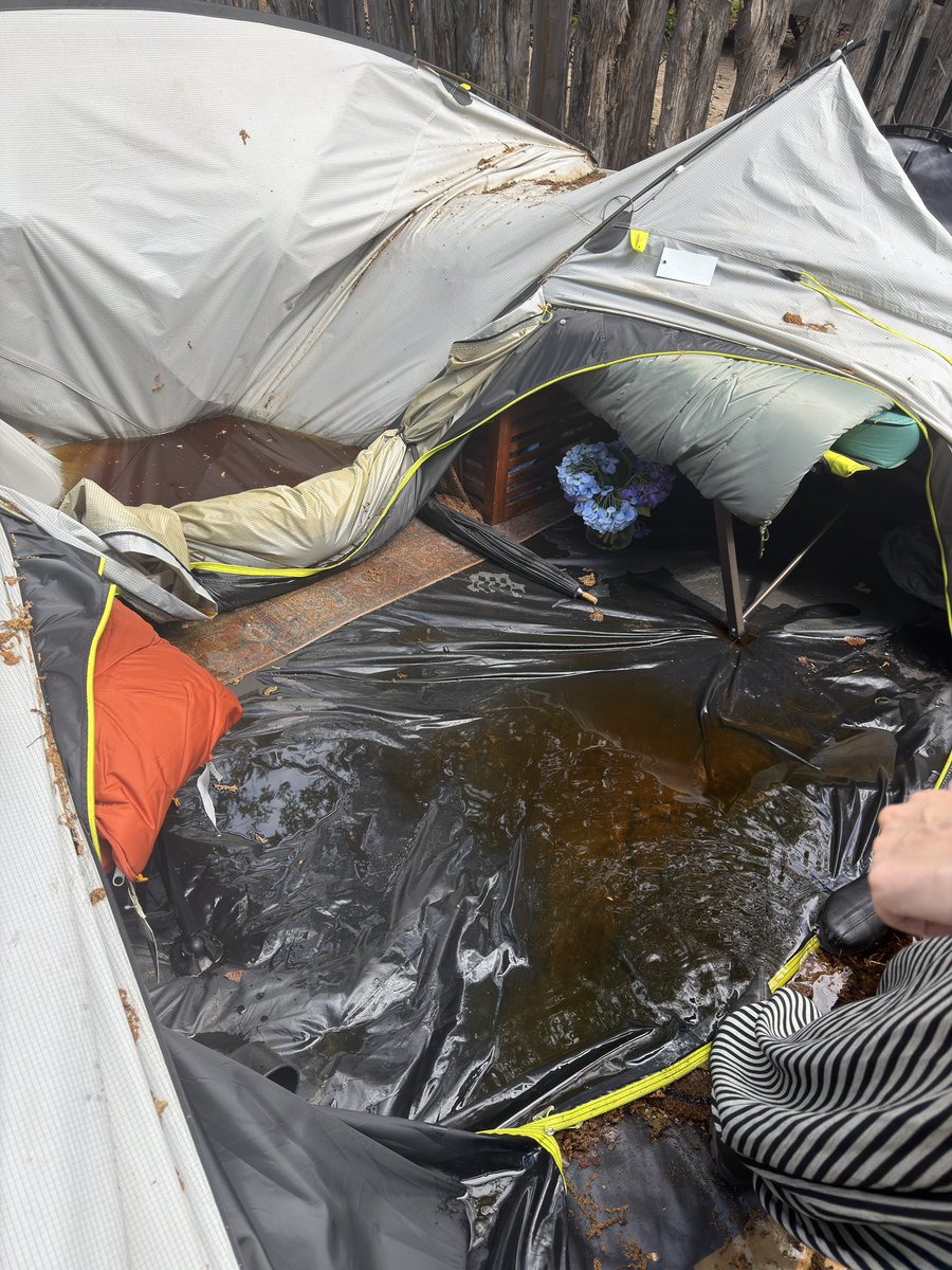 peachjars² tweet media