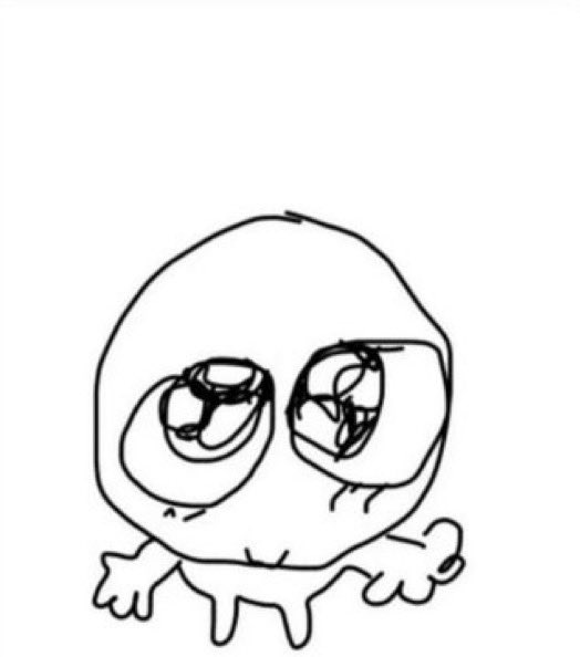 Sapo 🐸 tweet media