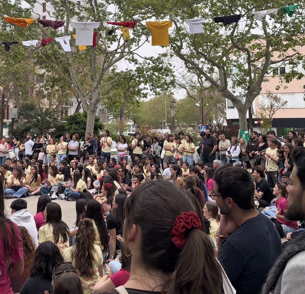 PSIB-PSOE Manacor tweet media