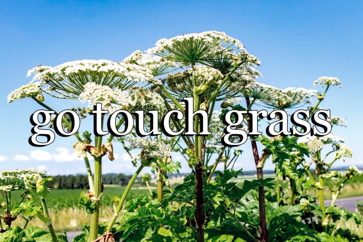 Miлa та яка кп :3 tweet media