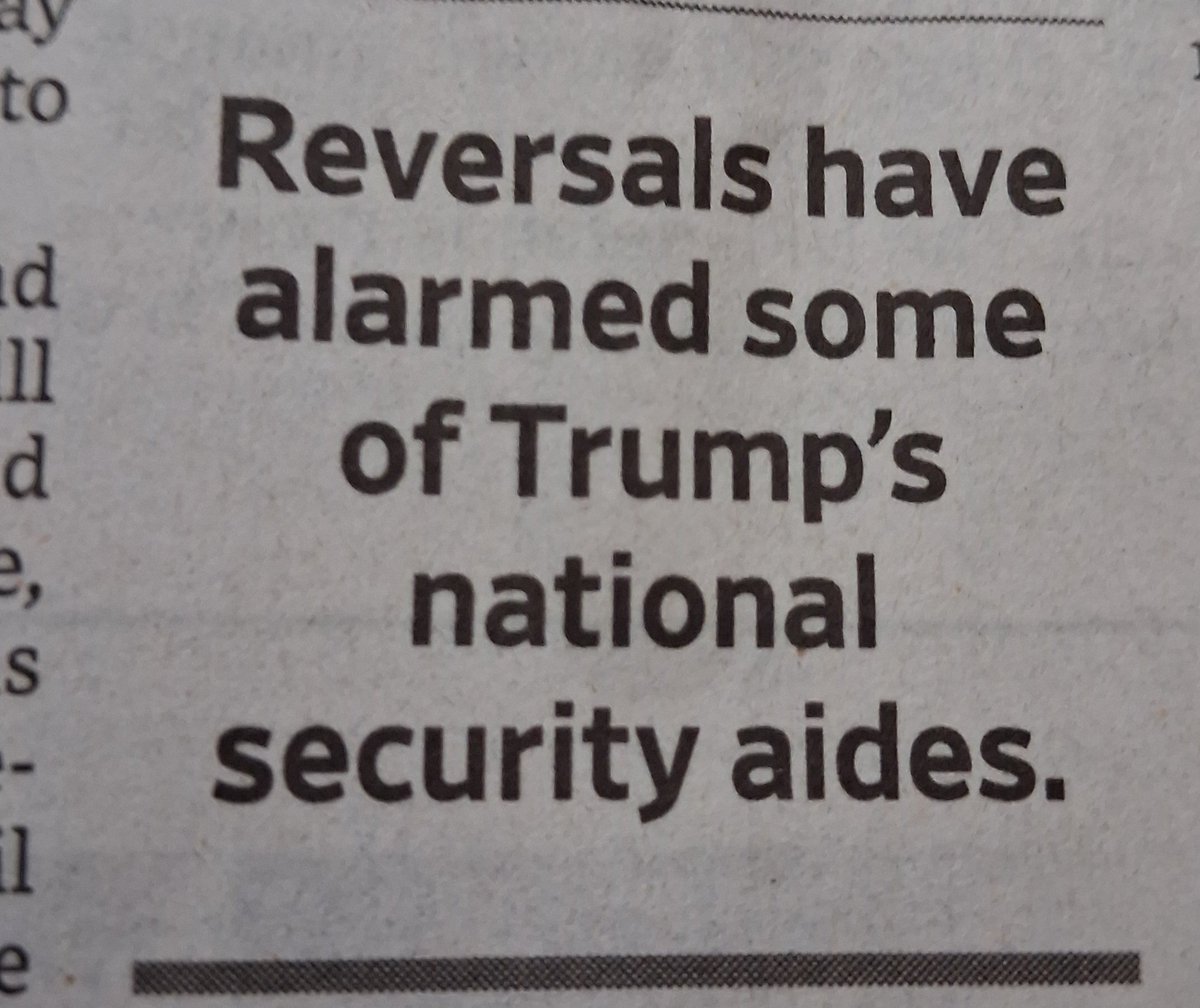 Lee's Perspective tweet media