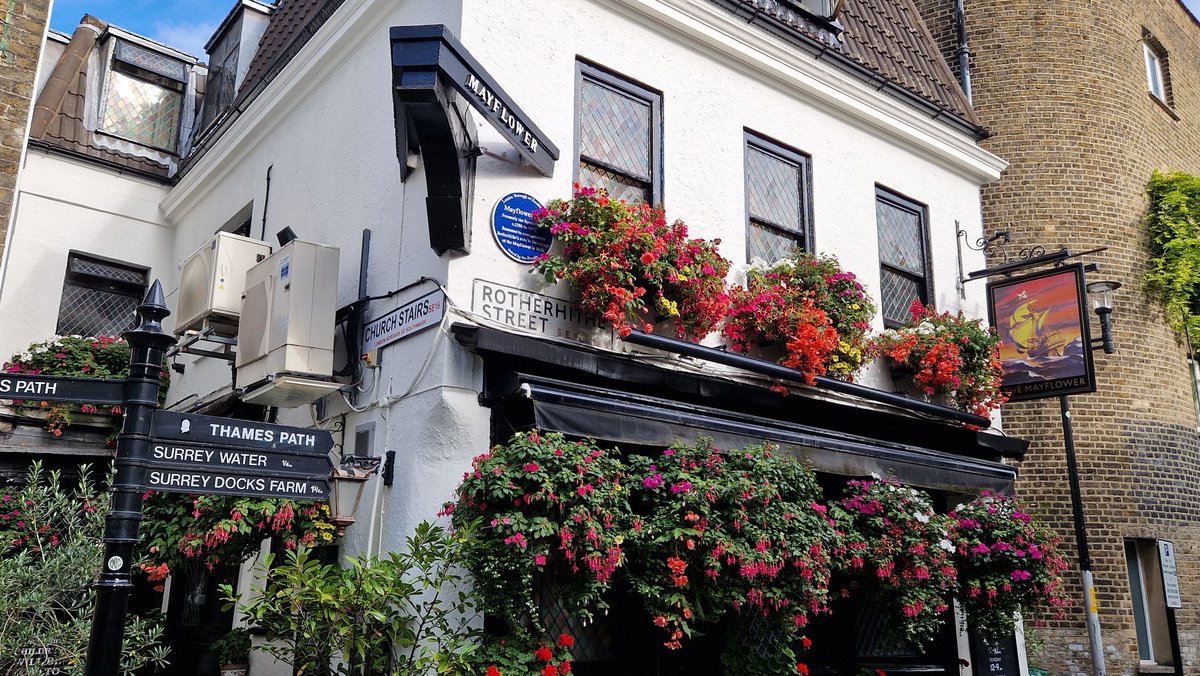 Vinnie Sullivan tweet media